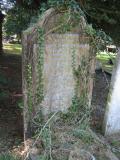 image of grave number 195680